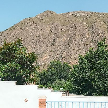 Recovery Mountain Homestay Alicante Exteriör bild