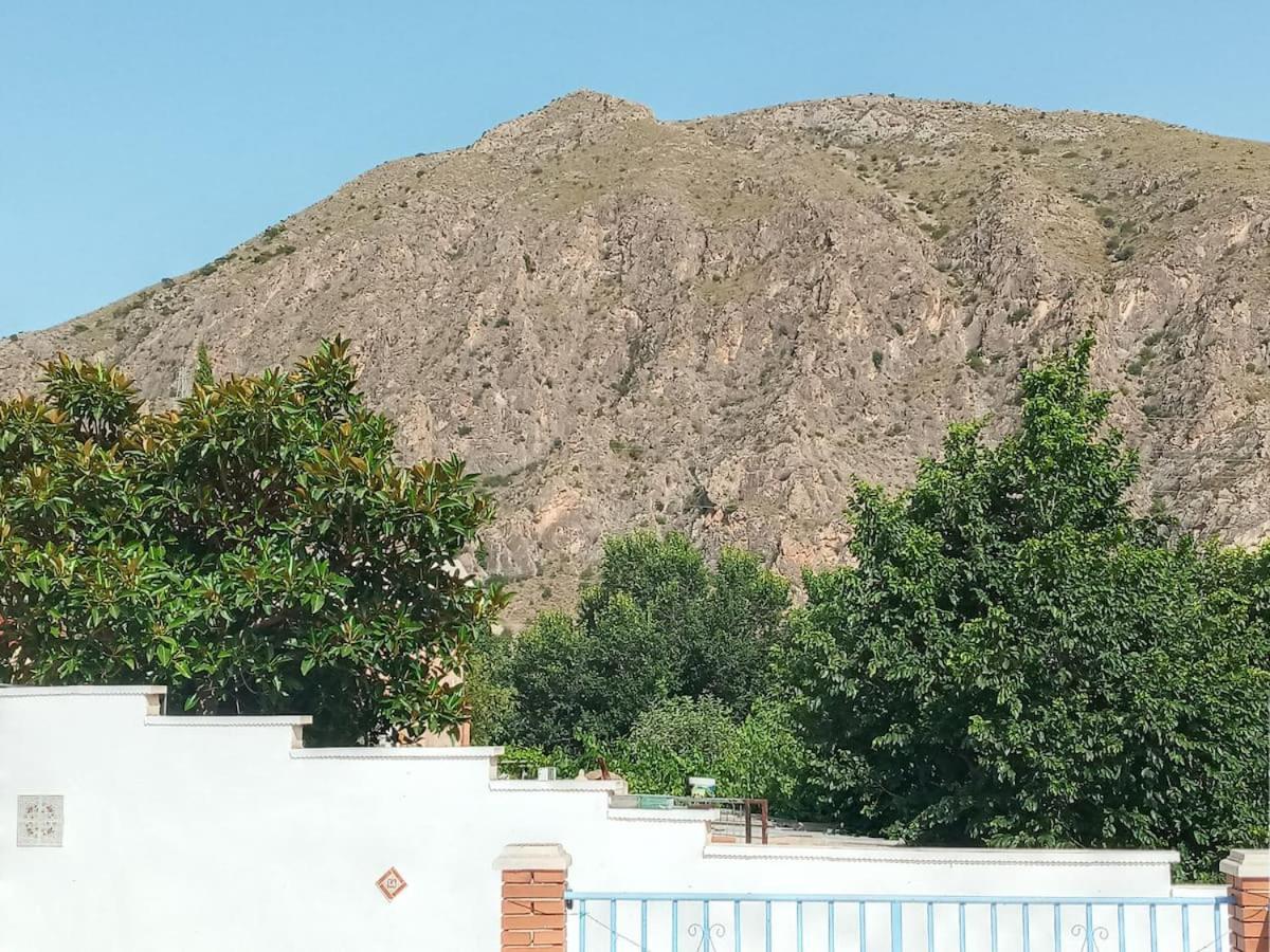 Recovery Mountain Homestay Alicante Exteriör bild