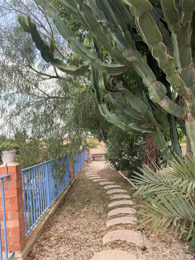 Recovery Mountain Homestay Alicante Exteriör bild